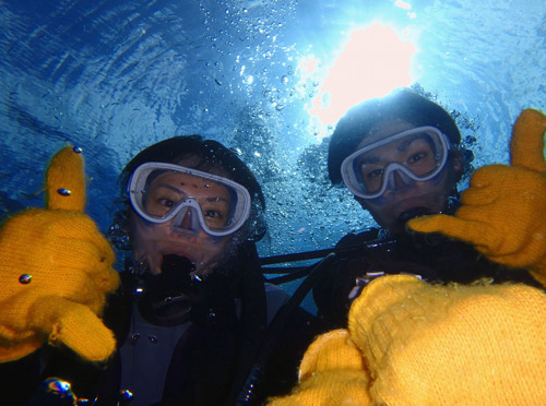 青の洞窟体験ダイビング